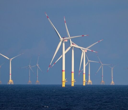 На администрацию Трампа подали в суд за остановку почти достроенной ВЭС