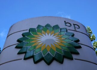 Второй мировой энергогигант отказался от производства биотоплива в Роттердаме