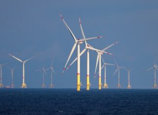 Ember: «Зеленые» источники энергии впервые опередили уголь в мировом производстве