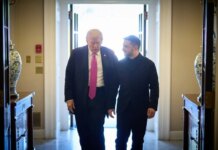 Что показала последняя встреча Трампа и Зеленского