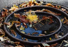 Яка погода очікується в Херсоні та області 29 жовтня 2025 року?