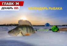 Календарь рыбака на декабрь 2025 года: когда и на что клюет лучше всего