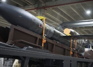 Миндич хотел получить 50% компании, производящей ракеты «Фламинго», — совладелец Fire Point