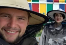 Бджоляр із Херсонщини відновив пасіку після деокупації правобережжя