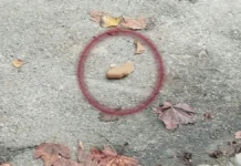 У Херсоні активізувалися випадки дистанційного мінування – поліція закликає бути обережними