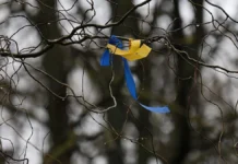 “Незаконні служби намагалися відправити до інтернату”. З окупації вдалося вивезти групу дітей з Херсонщини