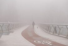 Киев накроет густой туман: синоптики предупреждают об опасности на дорогах