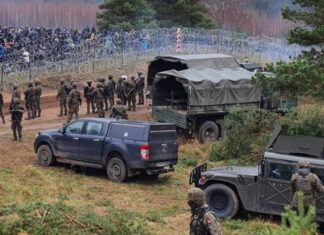 Лукашенко запускает мигрантов в Польшу через вырытый в лесу туннель (видео)