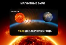 Прогноз магнитных бурь 19-20 декабря: какой будет солнечная активность