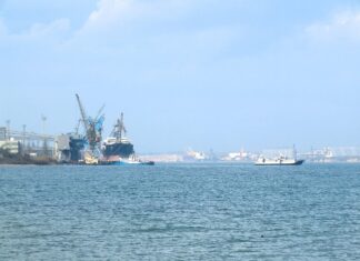 Акваторию крупнейшего порта Украины залило растительным маслом после российских обстрелов