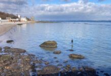 В Одессе уменьшилось загрязнение побережья маслом, возникшее после атаки РФ – горсовет