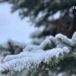 Какая будет погода на Новый год: синоптики дали прогноз