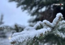 Какая будет погода на Новый год: синоптики дали прогноз