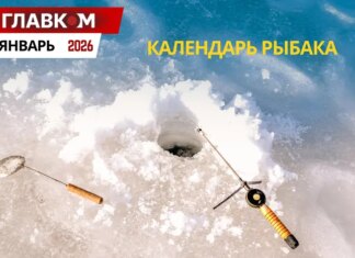 Календарь рыбалки на январь 2026 года: когда и на что лучше всего клюет