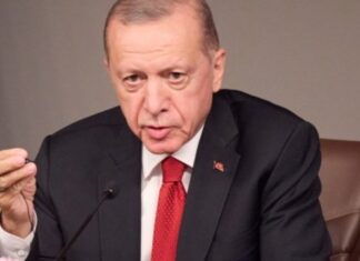 Эрдоган предостерег РФ и Украину от атак в Черном море