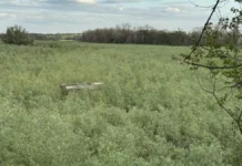 На відновлення Каховського водосховища потрібно від 5 до 8 років, проте це економічно невигідно — еколог