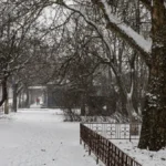 Погодні рекорди 2025 року. Херсонські синоптики підсумували рік