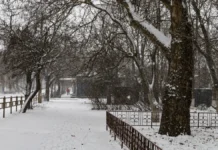 Погодні рекорди 2025 року. Херсонські синоптики підсумували рік