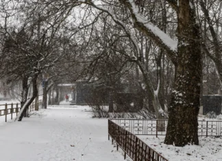 Погодні рекорди 2025 року. Херсонські синоптики підсумували рік