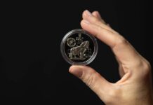 Троянский конь СБУ: спецоперация «Паутина» теперь запечатлена на монете