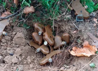 Російські війська мінують протоки на Херсонщині