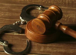 Суд у Миколаєві арештував майно депутатки Херсонської міськради у справі про бізнес на окупованих територіях