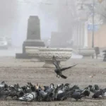 У Херсоні до кінця дня збережеться туман. Рівень небезпечності – жовтий