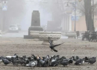 У Херсоні до кінця дня збережеться туман. Рівень небезпечності – жовтий