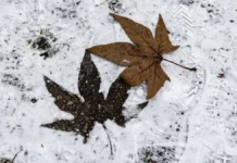 Яка погода очікується в Херсоні та області 30 грудня 2025 року?