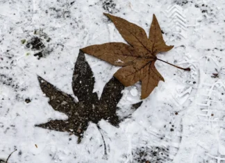 Яка погода очікується в Херсоні та області 30 грудня 2025 року?