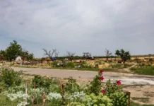 На дороги Херсонщини у 2025 році виділили понад 800 мільйонів гривень. ІНФОГРАФІКА