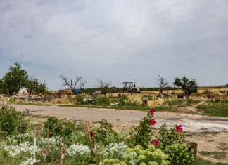 На дороги Херсонщини у 2025 році виділили понад 800 мільйонів гривень. ІНФОГРАФІКА