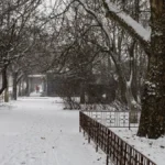 У Херсоні випав перший сніг цієї зими. ФОТО