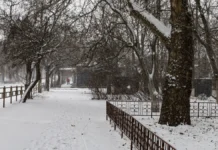 У Херсоні випав перший сніг цієї зими. ФОТО