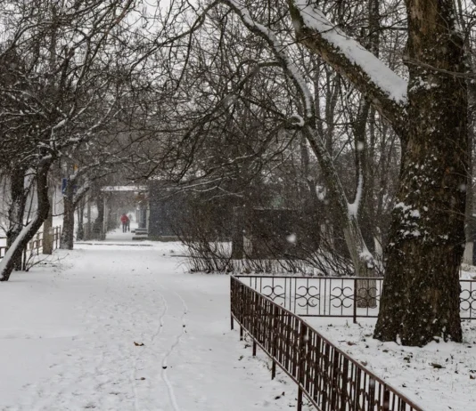 У Херсоні випав перший сніг цієї зими. ФОТО