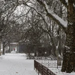 Яка погода очікується в Херсоні та області 31 грудня 2025 року?