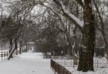 Яка погода очікується в Херсоні та області 31 грудня 2025 року?