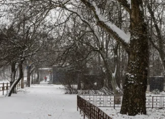 Яка погода очікується в Херсоні та області 31 грудня 2025 року?