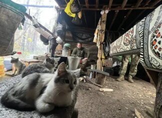 Герой Украины, который пробыл в окружении 42 суток, назвал незаменимую вещь на передовой