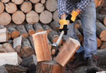 Рекордный спрос на дрова: украинцы за день купили 8000 кубометров