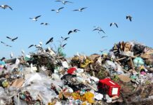 Новые правила для мусора: Кабмин обновил механизмы управления отходами