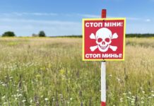 За средства, собранные на платформе UNITED24, разминируют больницу, лицей и два лесничества