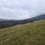 Продажа земли на полонине Боржава. АРМА проверит победителей аукционов