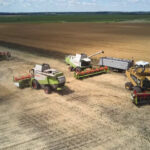 Агрохолдинг Тигипко покупает элеватор у Kernel