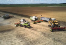 Агрохолдинг Тигипко покупает элеватор у Kernel