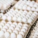 Украина экспортировала 2 млрд яиц в 2025 году: какие страны покупали больше всего