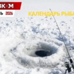 Календарь рыбалки на февраль 2026 года: когда и на что лучше всего клюет
