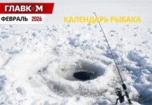Календарь рыбалки на февраль 2026 года: когда и на что лучше всего клюет