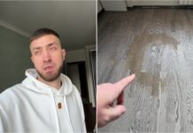 Украинцы уехали за границу, а квартиру сдали в оренду: что случилось с их жильем (фото)