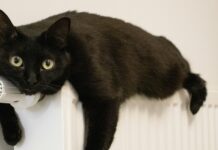 Что делать, когда нет ни отопления, ни света: 5 способов согреться в квартире зимой